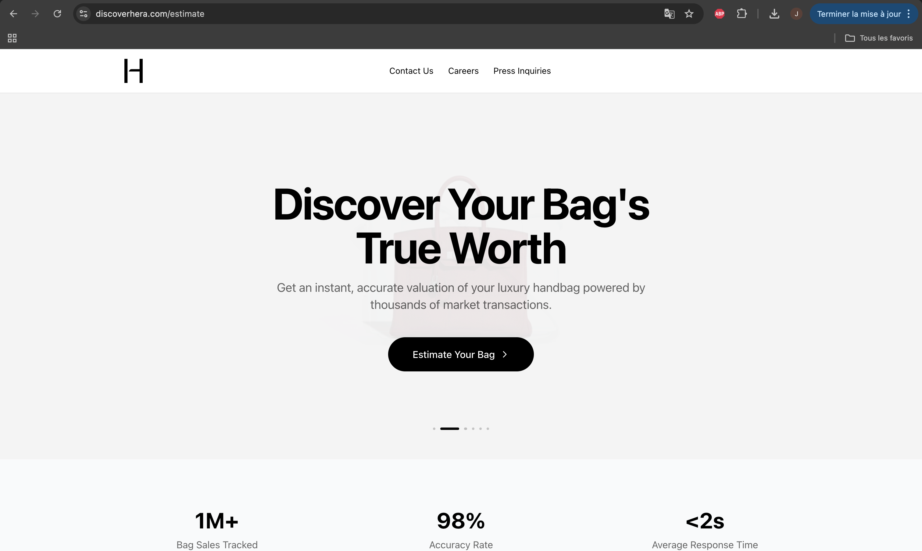 Handbag Valuation Tool Screenshot